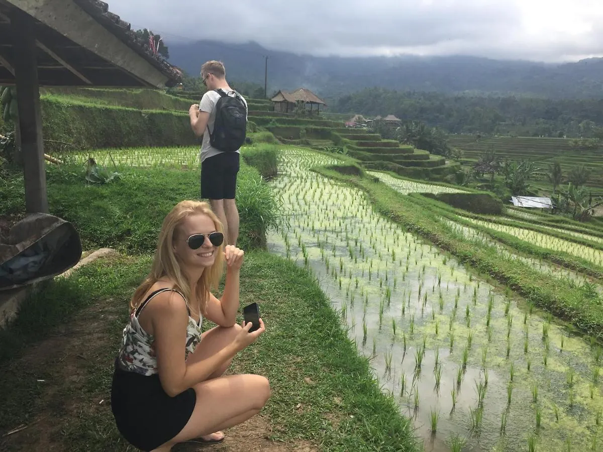 The Hidden Bali Inn Ubud  Indonesia