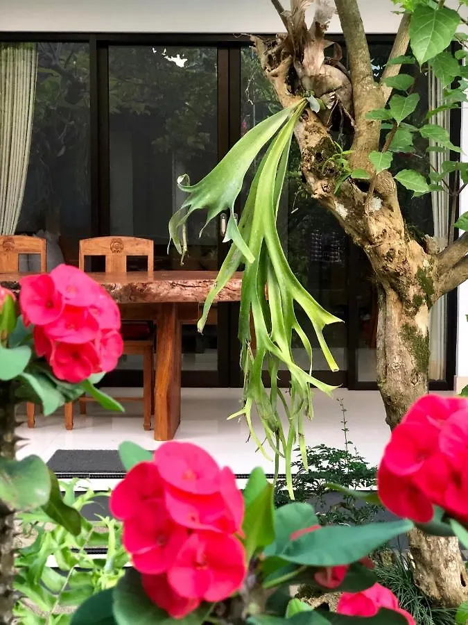 The Hidden Bali Inn Ubud  Ubud (Bali)
