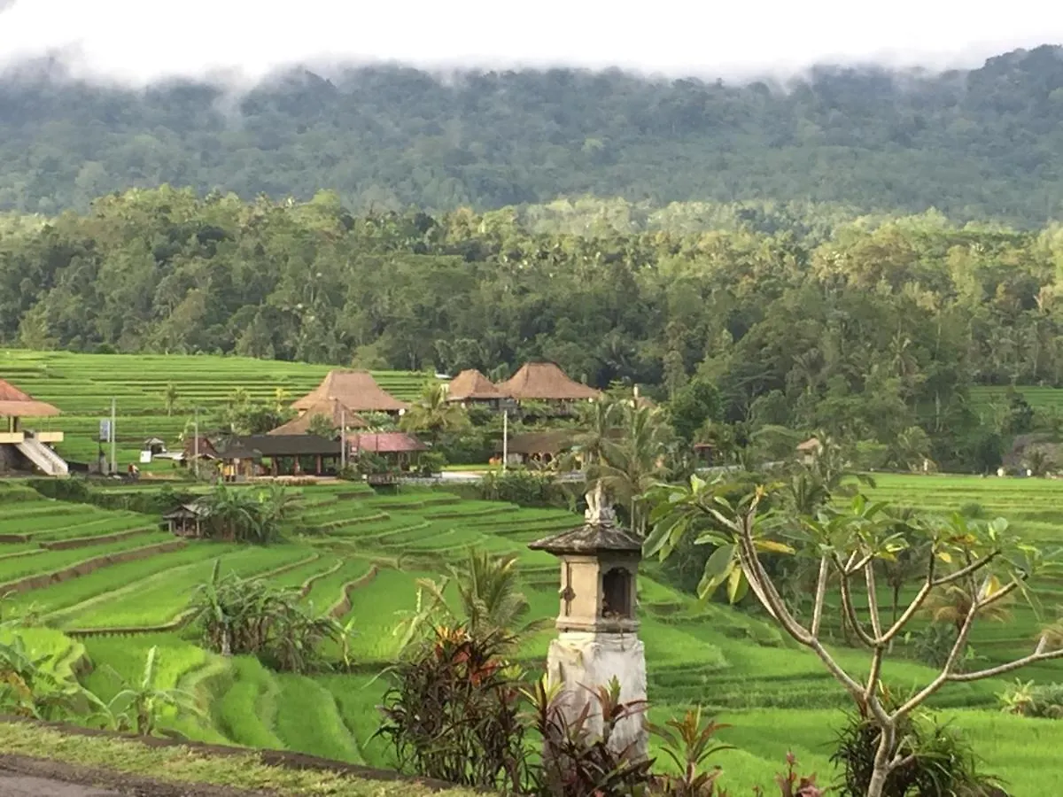 The Hidden Bali Inn Ubud 3*,  Indonesien