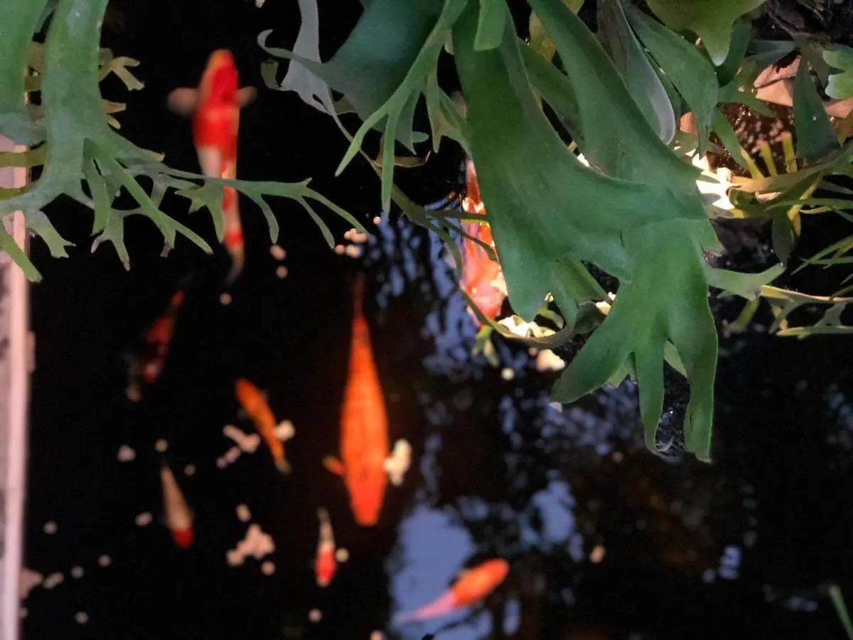 The Hidden Bali Inn Ubud